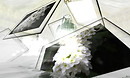 SayokoMoonwall-Hydrangea-2