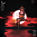 Witchy Broomstick - Witchy Lady