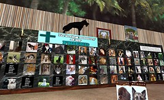 Snapshot_015