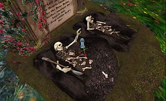 Snapshot_021