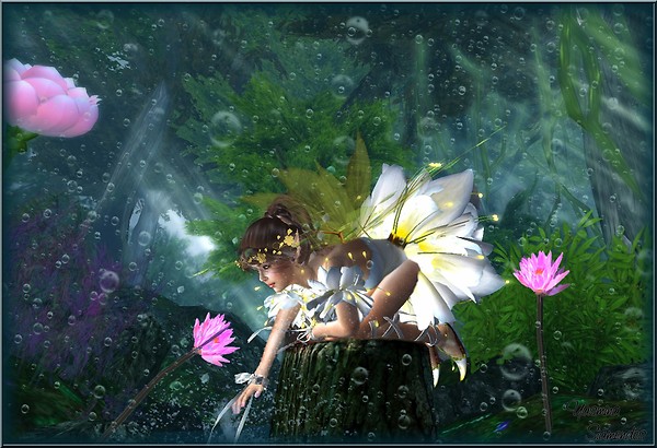 Watersplash in the Elven Realm