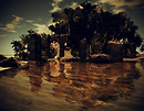 Reflecting Pool