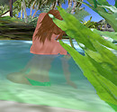 Water 17