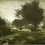 In the Shadow of the Tree