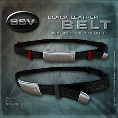 Black Leather Belt (No2)