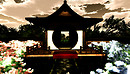 Snapshot_624b