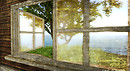 Snapshot_619b