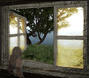 Snapshot_617b
