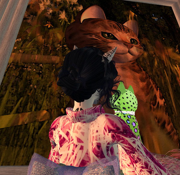 June24_kittycats_photocontest1