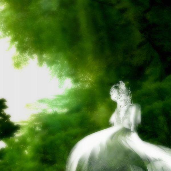 Forest of silence