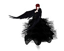 _ Arm wings black 2
