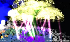 MSND (27)