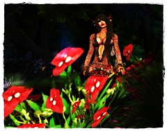 Wildflowers in the Night