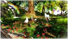 Creatures of Light