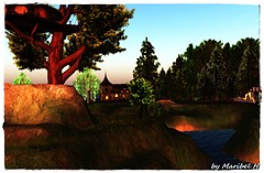 Bankville Awakens