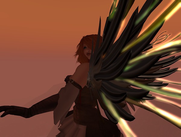 Wings of the Sun