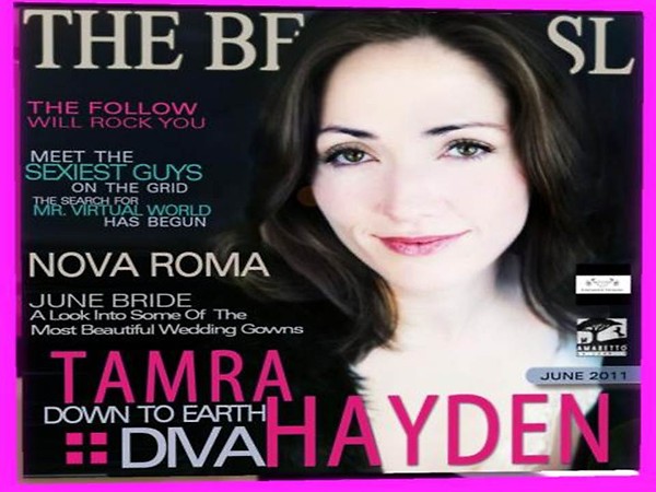 BOSL Mag Cover