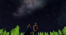Twinkle Night Bazaar 2011