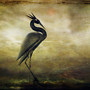 another heron