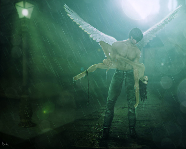 Fallen Angel