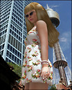 Sydney in Summer