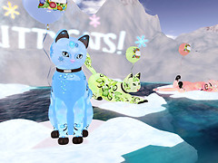 SLRFL2011_006