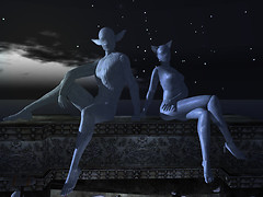 SLRFL2011_005