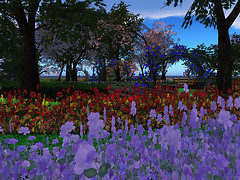 SLRFL2011_004