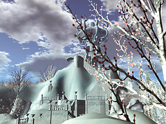 SLRFL2011_003