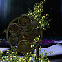 Time Mechanism