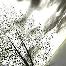 sky band - torley.linden