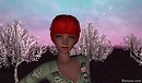 misselle