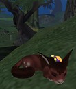 Primbie Bird Antics