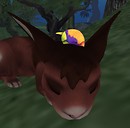 Primbie Bird Antics