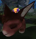 Primbie Bird Antics