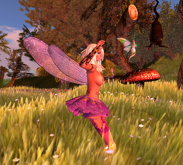 faeries afield
