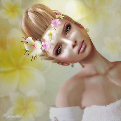 Plumeria