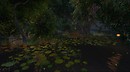 Firefly Forest - liqueur.felix