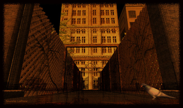 Central Park