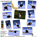 Catch the golden ball