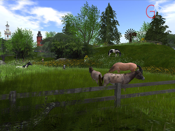 Pasture
