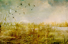 Summers End