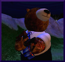 saved by the bear