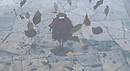 Leaves Avatar