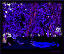 purple and blue