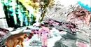 coddax hover_006