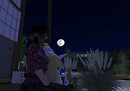 Moon viewing "Tukimi"