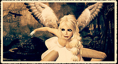 Angel Soul