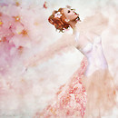 Blossoms