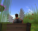 on bench